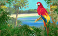 Image Not Available